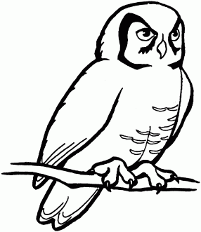 owl-clipart-black-and-white-bTyEyyarc